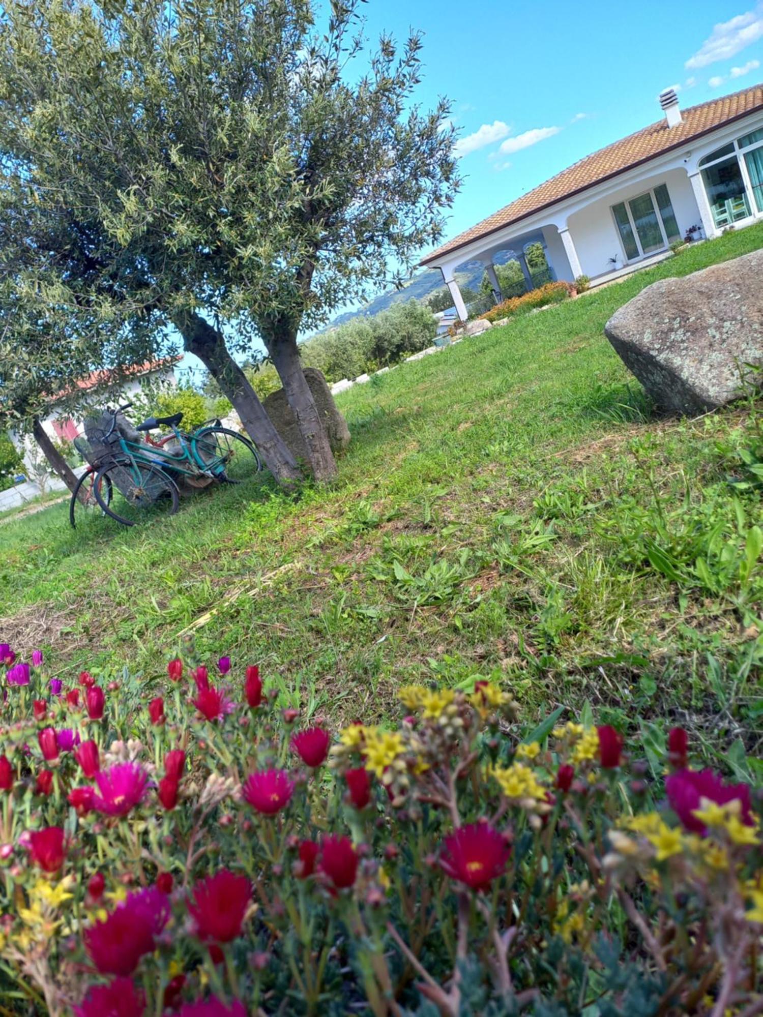 Agriturismo B&B Mares E Montes De Marrante Siniscola Extérieur photo